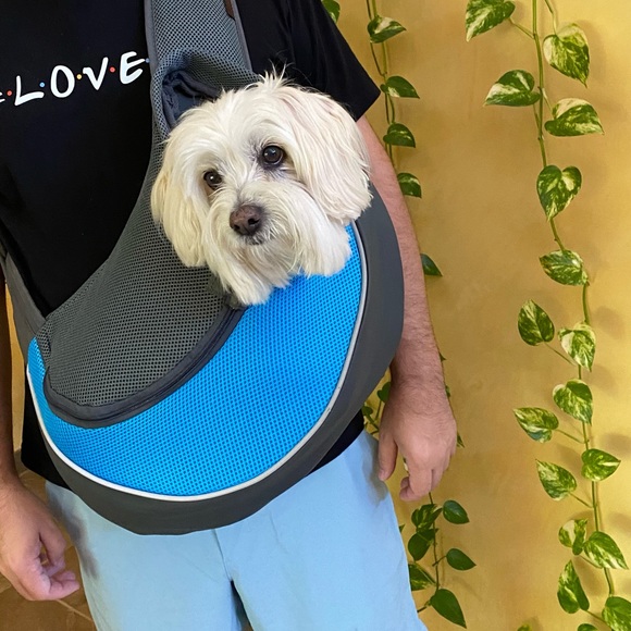 Dog or cat carrier - Picture 2 of 4